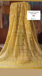Sudha full jaal chikankari saree