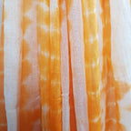 priamvada