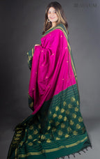 Pallavi kalyan cotton saree